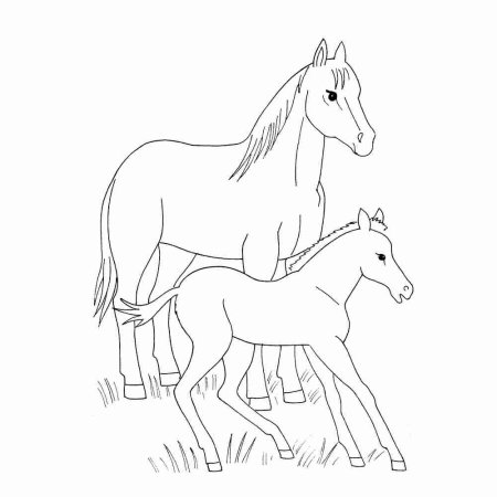 Раскраска домашние животные