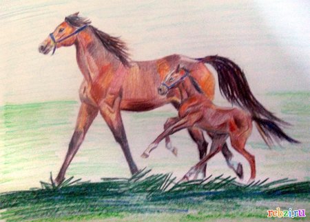 Спирит для срисовки