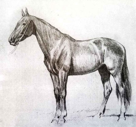 Бегущая лошадь рисунок карандашом