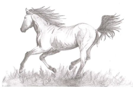 Лежачие лошади рисования