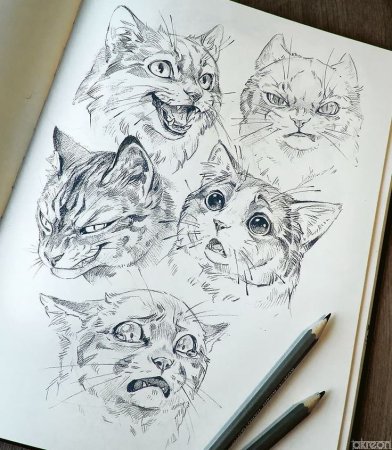 Кошка скетч