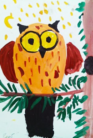 Рисование Сова в старшей группе
