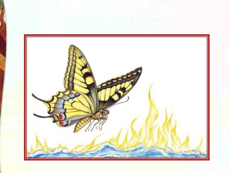 Иллюстрации к сказкам Чуковского путаница