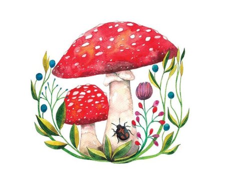 Корзина с грибами раскраска