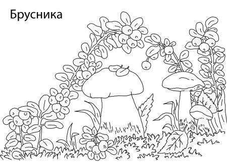 Сказка про грибы