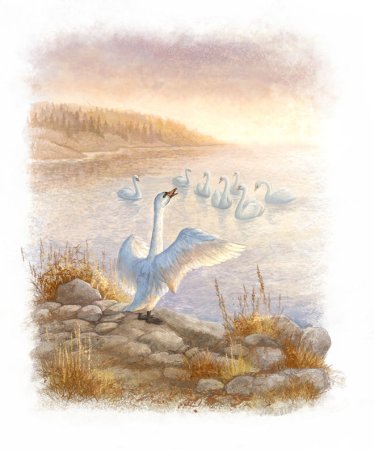 Приёмыш мамин Сибиряк раскраска