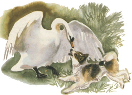 Приёмыш мамин Сибиряк ге