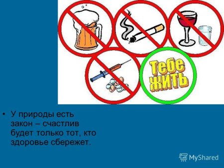 Береги своё здоровье