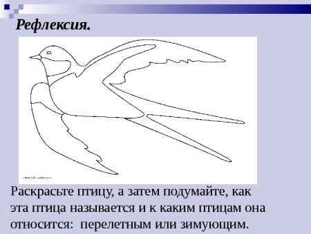 Ласточка задания для детей