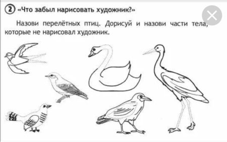 Раскраска "перелетные птицы"
