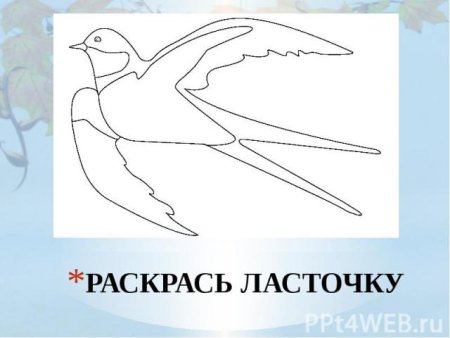 Поэтапное рисование птиц