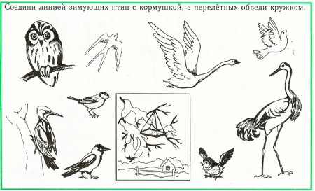 Рисование перелетные птицы старшая группа