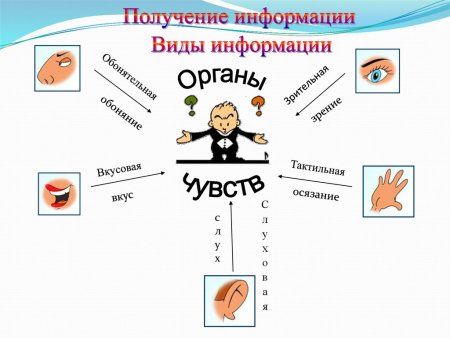 Откуда человек получает информацию