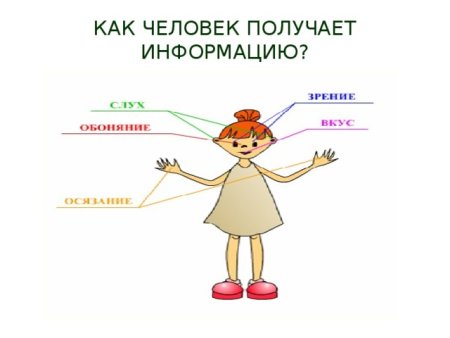 Источники информации рисунок