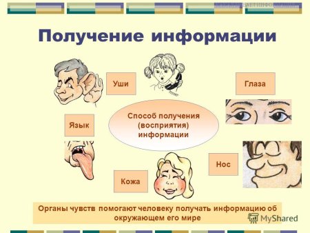 Человек информация знания