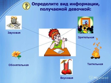 Различные источники знаний