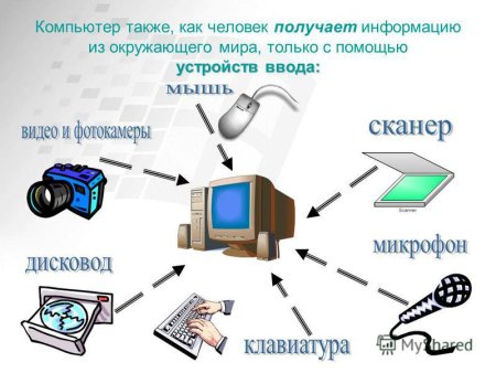Виды информации