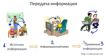 Как человек воспринимает информацию