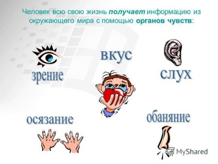 Источник информации это в информатике