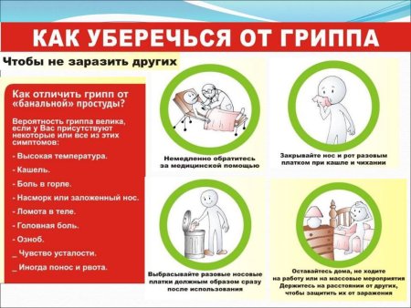 Профилактика гриппа и ОРВИ