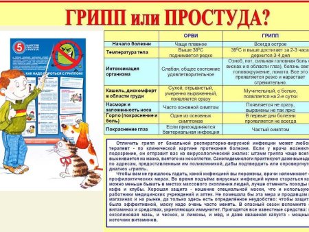 Профилактика острых респираторных заболеваний у детей