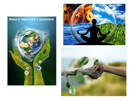 Гармония природы