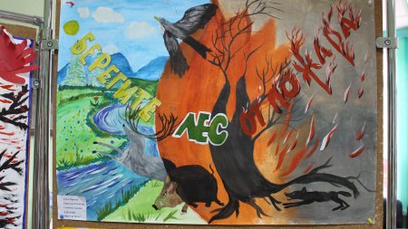 Плакат на тему Лесные пожары