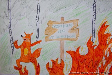 Рисунки на тему спасем лес от пожара