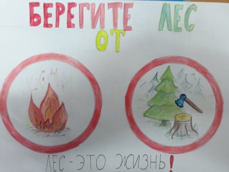 Рисунок на тему берегите лес от пожара