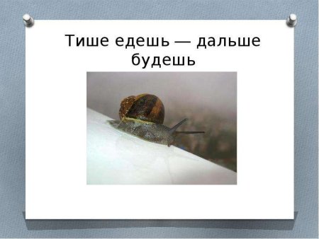 Тише едешь дальше будешь