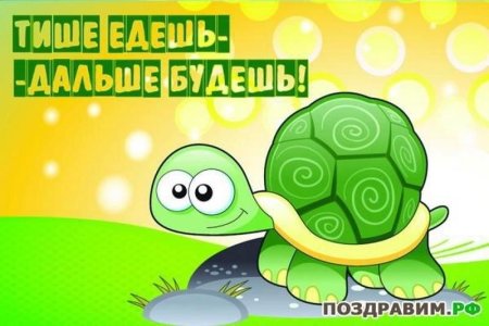 Тише едешь дальше будешь