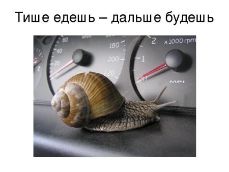 Тише едешь дальше будешь
