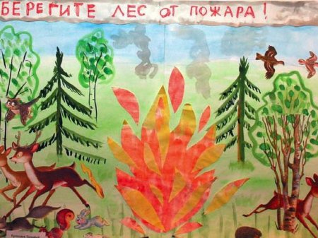 Конкурс рисунков берегите лес
