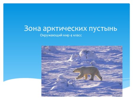 Зона арктических пустынь 4 класс