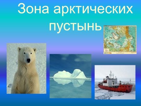 Зона Арктики 4 класс