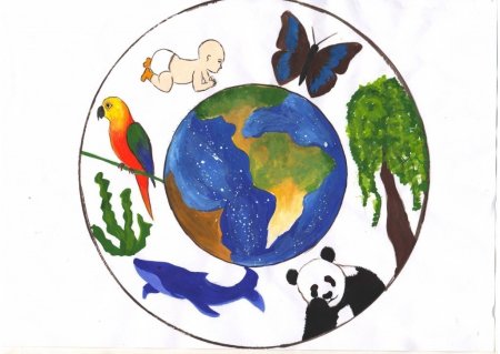 Раскраска на тему экология для детей