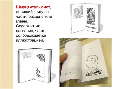 Авантитул и шмуцтитул