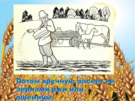 Рисунки хлеба и хлебобулочных изделий для детей