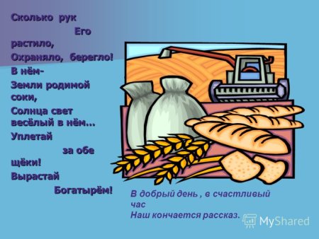 Хлеб всему голова