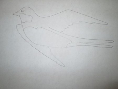 Рисование Ласточка в старшей группе на тему перелетные птицы
