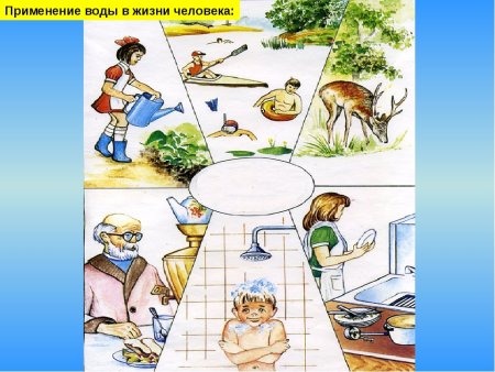 Вода в жизни человека