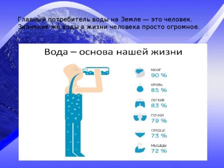 Роль воды в жизни человека