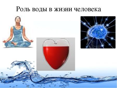 Роль воды в жизни человека рисунок