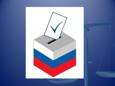 Выборы презентация