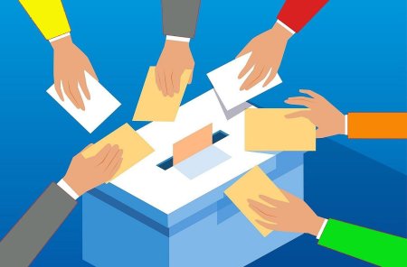 Выборы картинки