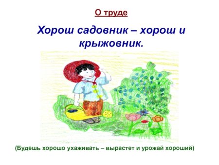 Картинки к пословицам о труде