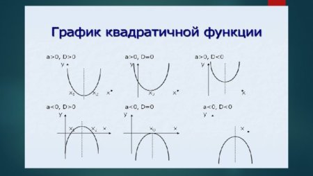 Название функции y=x^4