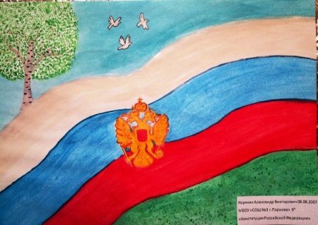 Конституция РФ рисунок