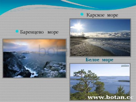 Моря и реки России