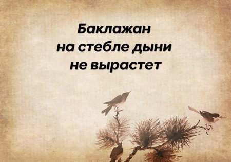 Народная мудрость о деньгах